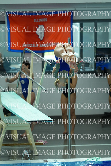 ILSWG25_DIVE_F0029