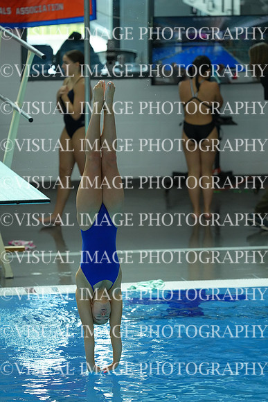 ILSWG25_DIVE_F0031