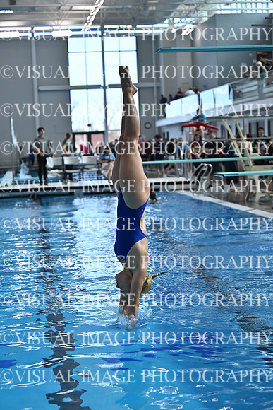 ILSWG25_DIVE_F0033