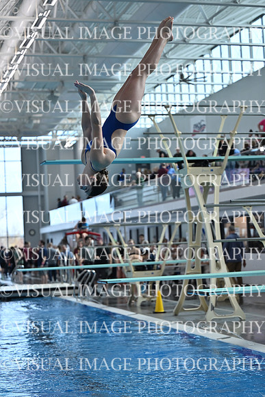 ILSWG25_DIVE_F0034