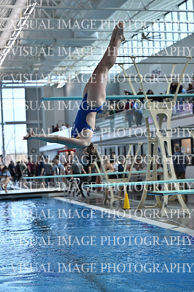 ILSWG25_DIVE_F0035
