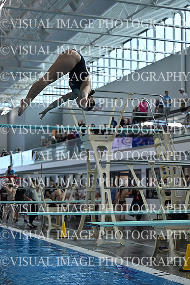 ILSWG25_DIVE_F0039