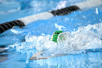 ILSWG25_1BREASTAWD_F005