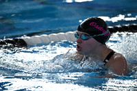 ILSWG25_1BREASTAWD_F015