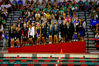 WISWG_25_A2014
