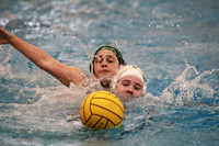Stevenson vs Fenwick