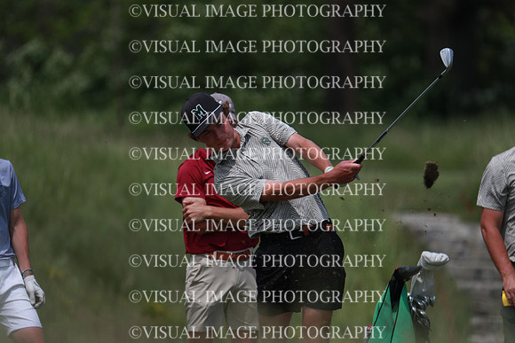 WIGF_24_F10015