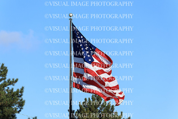 ILFB_25_F10025