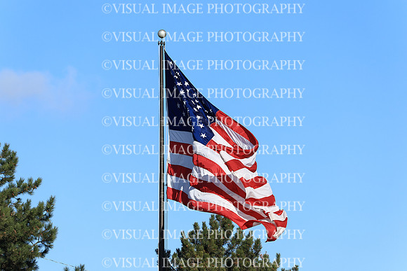 ILFB_25_F10026