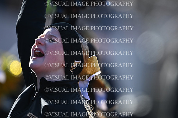 ILFB_25_H1003
