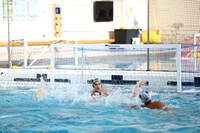 ILWP_24_F1013