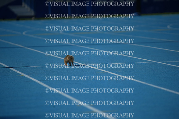 ILTKG25_SQUIRREL_40