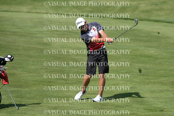 WIGF_15_T116030