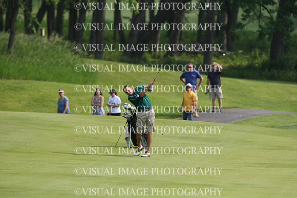 WIGF_15_IND3008
