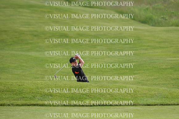 WIGF_15_IND3022