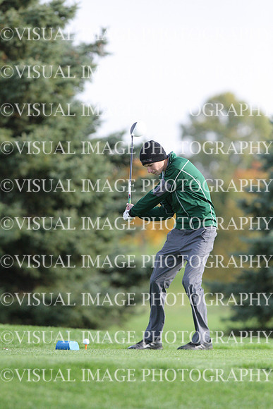 ILGF_14_IND1028
