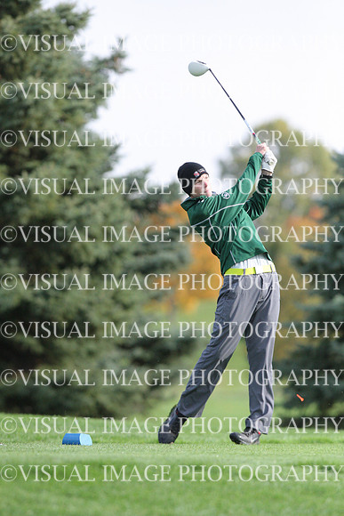 ILGF_14_IND1031