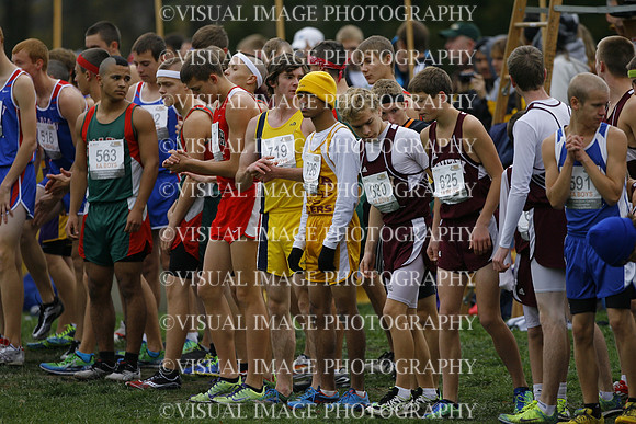 ILXC_12_10033