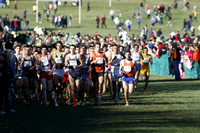 ILXC_13_30012