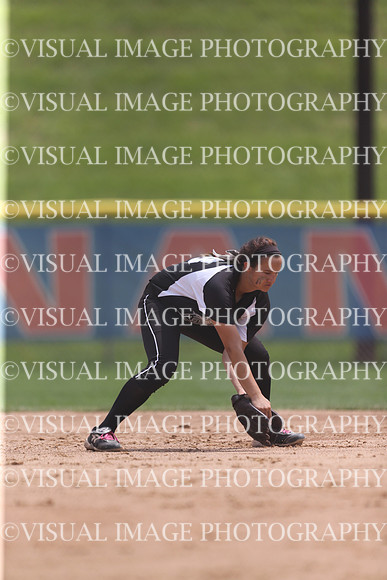 ILSBG_15_S31028