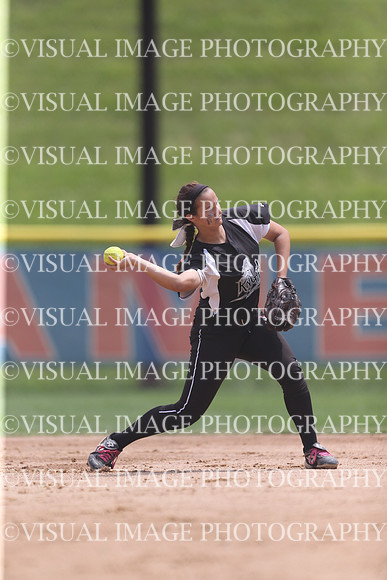 ILSBG_15_S31030