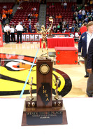 ILVBG_12_A43006