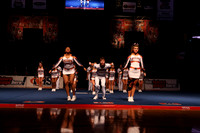 ILCHEER_15_C01015