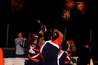ILCHEER_15_AC015