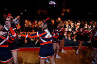 ILCHEER_15_AC017