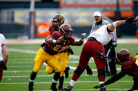 ILFB_12_520011