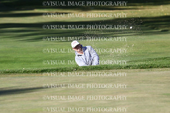 ILGF_24_T204028