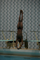 wisw10_dive_1009
