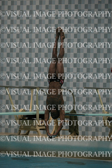 wisw10_dive_1009
