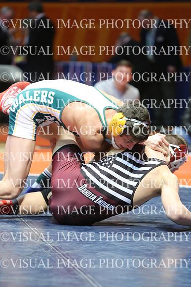 ILIWR15_132_11004