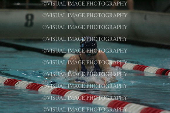 wiswg09_1breast_2010