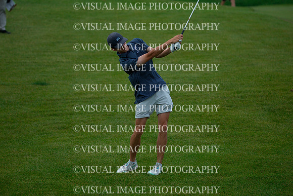 WIGF_23_F10017