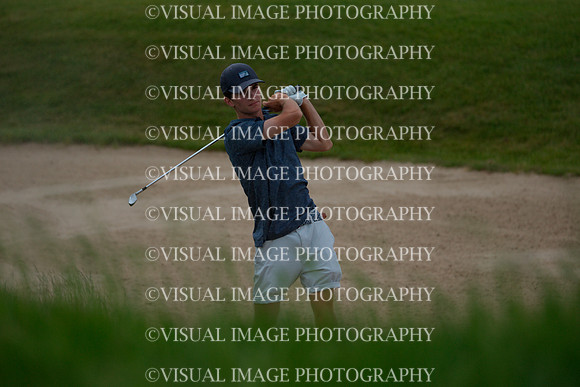 WIGF_23_F10010