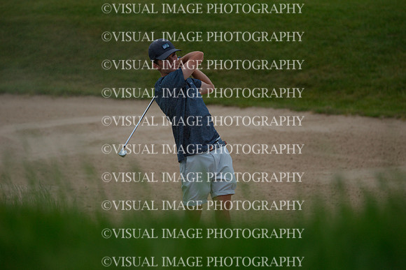 WIGF_23_F10008