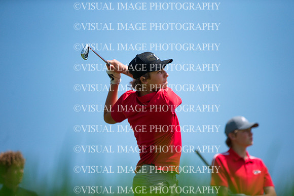 WIGF_23_F23012