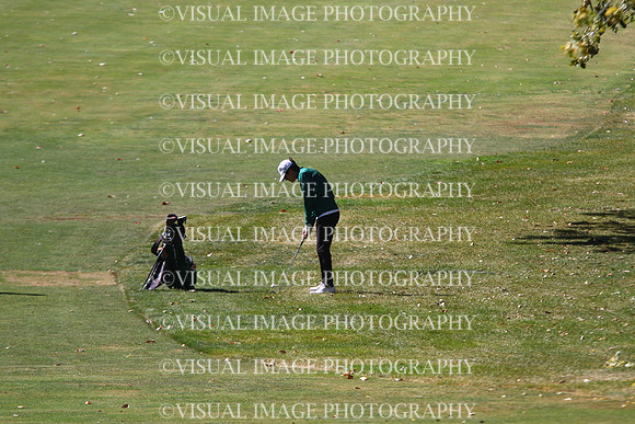 ILGF_24_T202037