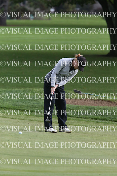 ILGF_17_IND20015