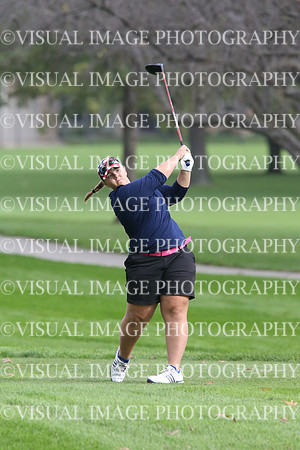 ILGF_17_IND20022