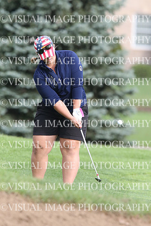 ILGF_17_IND20006