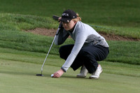 ILGF_17_IND20013