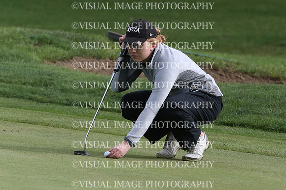 ILGF_17_IND20013