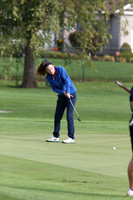 ILGF_17_IND20012