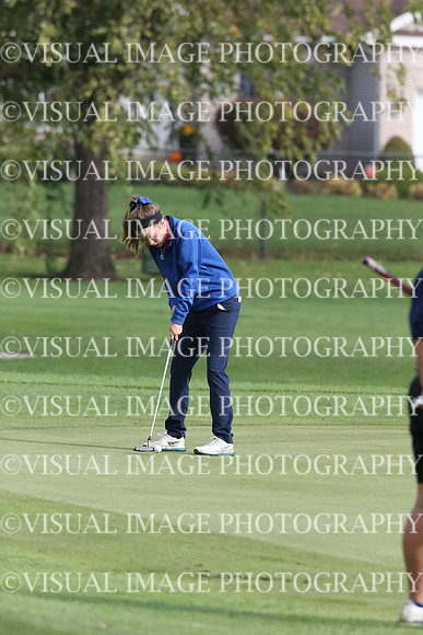 ILGF_17_IND20009