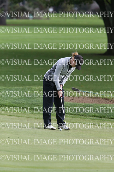 ILGF_17_IND20014