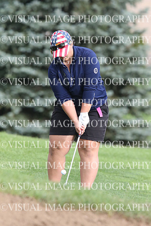 ILGF_17_IND20005