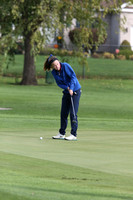 ILGF_17_IND20008